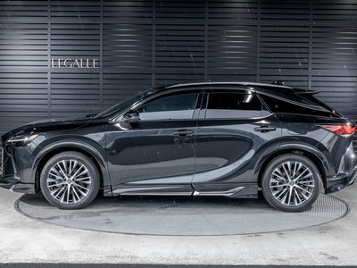 2025 Lexus RX 照片 10