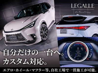 2025 Lexus RX 照片 79