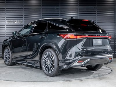 2025 Lexus RX 照片 9