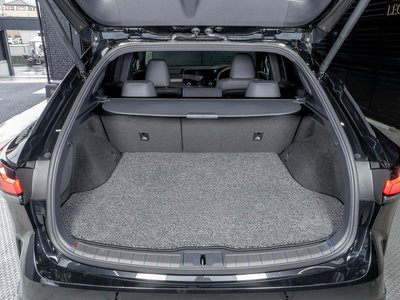 2025 Lexus RX 照片 61