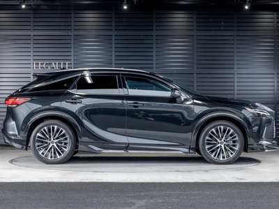 2025 Lexus RX 照片 30