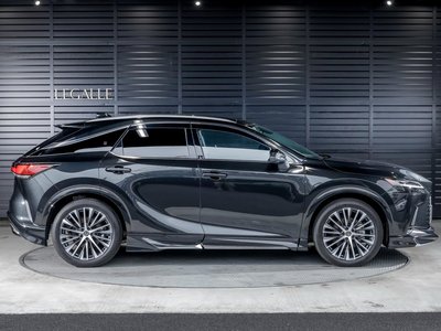 2025 Lexus RX 照片 6