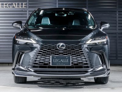 2025 Lexus RX 照片 4