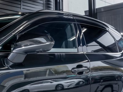 2025 Lexus RX 照片 70