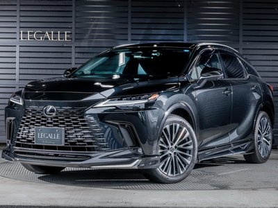 2025 Lexus RX 照片 27