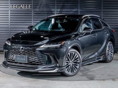 2025 Lexus RX 照片 1