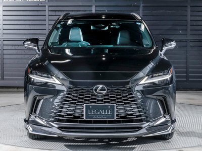 2025 Lexus RX 照片 28