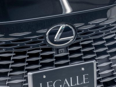 2025 Lexus RX 照片 68