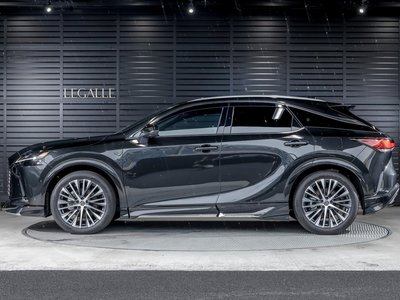 2025 Lexus RX 照片 34