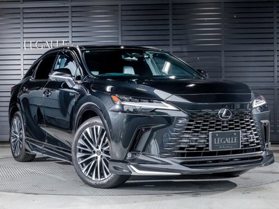 2025 Lexus RX 照片 29