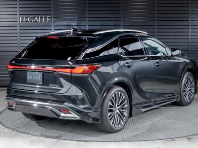 2025 Lexus RX 照片 31
