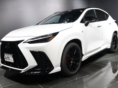 2024 Lexus NX photo 1