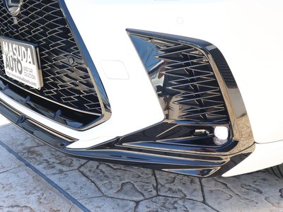 2024 Lexus NX thumbnail 22