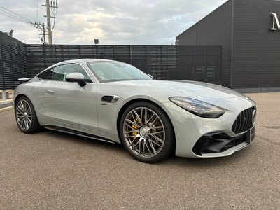 2025 Mercedes-BENZ GT AMG photo 3