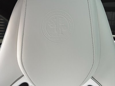 2025 Mercedes-BENZ GT AMG photo 14
