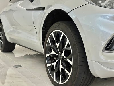 2021 Aston Martin DBX 照片 13