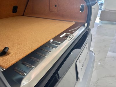 2021 Aston Martin DBX 照片 42