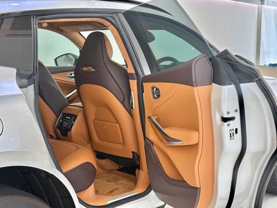 2021 Aston Martin DBX 照片 33