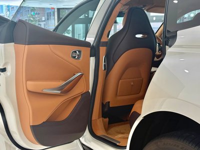 2021 Aston Martin DBX 照片 39