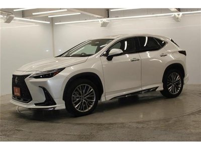 2023 Lexus NX photo 14