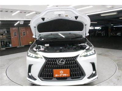 2023 Lexus NX thumbnail 79