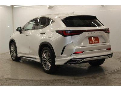 2023 Lexus NX photo 12