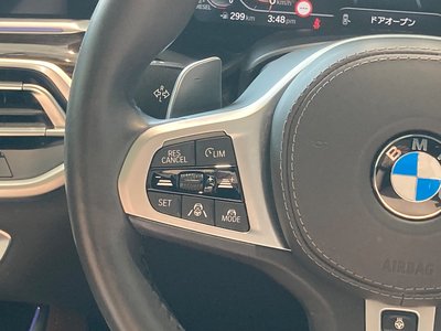 2019 BMW X5 缩略图 32