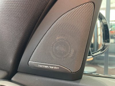 2019 BMW X5 缩略图 54