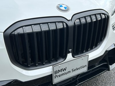 2023 BMW X7 thumbnail 19