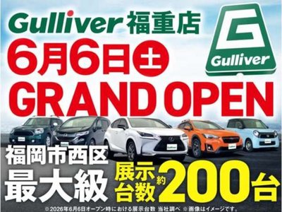 2023 Lexus NX 照片 6