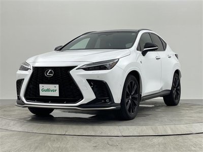2023 Lexus NX 照片 47