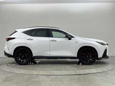 2023 Lexus NX 照片 45