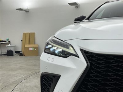 2023 Lexus NX 照片 39