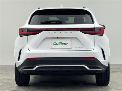 2023 Lexus NX 照片 44