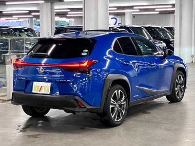 2018 Lexus UX 照片 6