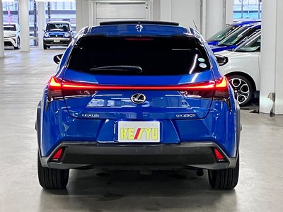 2018 Lexus UX 照片 10