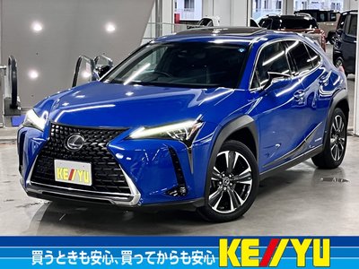 2018 Lexus UX 照片 1