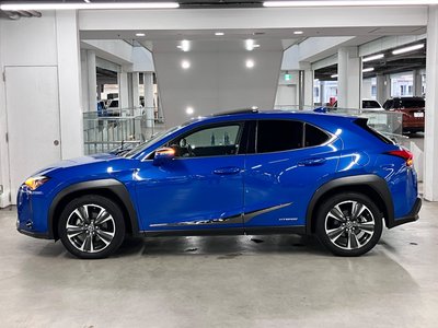 2018 Lexus UX 照片 13