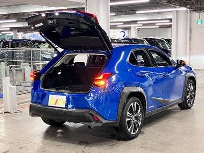 2018 Lexus UX 照片 21