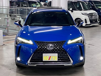 2018 Lexus UX 照片 9
