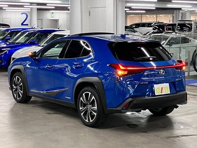 2018 Lexus UX 照片 11