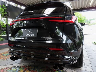2025 Lexus NX photo 2