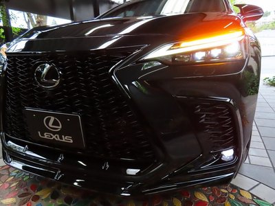 2025 Lexus NX photo 11