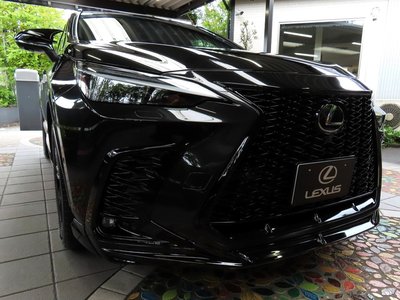 2025 Lexus NX photo 5