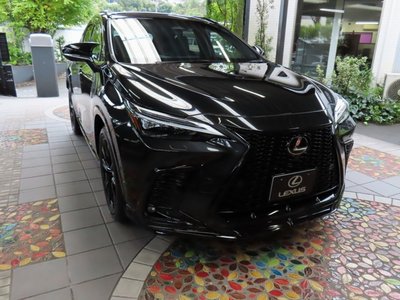2025 Lexus NX thumbnail 43