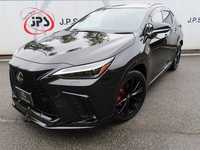 2025 Lexus NX thumbnail 88
