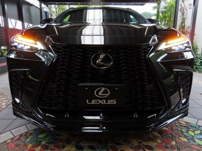 2025 Lexus NX photo 10
