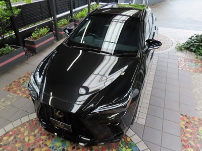 2025 Lexus NX thumbnail 19