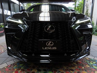 2025 Lexus NX photo 8