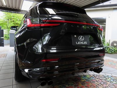 2025 Lexus NX photo 6